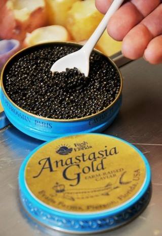 buy caviar